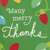 Hallmark Christmas Cards, Thanks to You (6 Holiday Cards with Envelopes)(Red   Green)