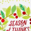 Hallmark Christmas Cards, Thanks to You (6 Holiday Cards with Envelopes)(Season of Thanks  6 Cards with Envelopes)