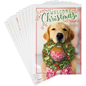 Hallmark Christmas Cards Pack, Puppy with Wreath (10 Cards with Envelopes)(Puppy with Wreath  10 Cards with Envelopes)