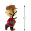 Hallmark Peanuts Snoopy Team USA Christmas Ornament(Charlie Brown and Tree)