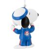 Hallmark Peanuts Snoopy Team USA Christmas Ornament(Snoopy Olympics)