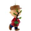 Charlie Brown and Tree