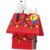 Snoopy on Dog House