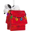 Snoopy & Doghouse