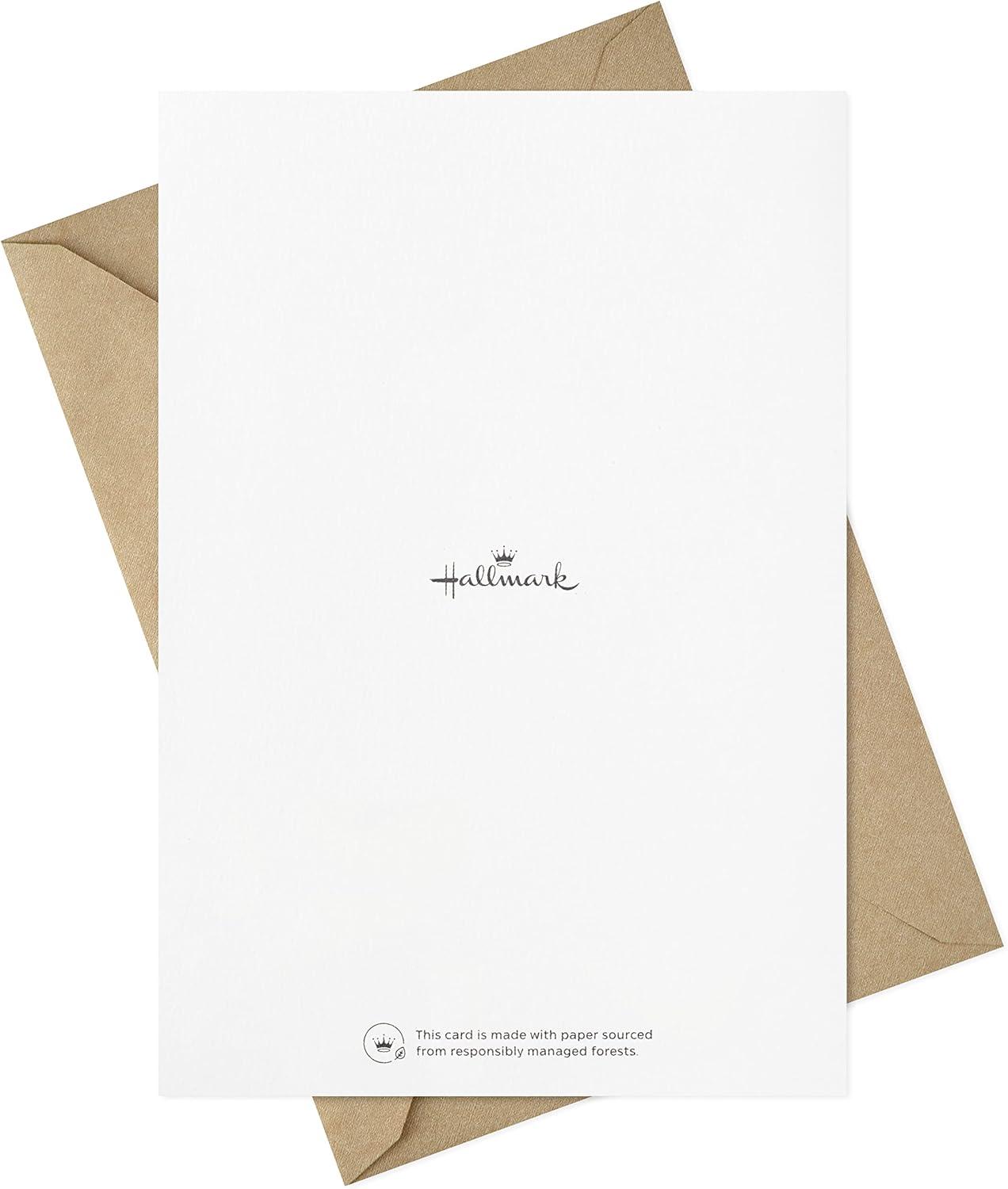 image:imageHallmark Assorted Birthday Cards for Men 16 Cards with Envelopes Burgers Beers Camping for Husband Brother Boyfriend Dad Friend