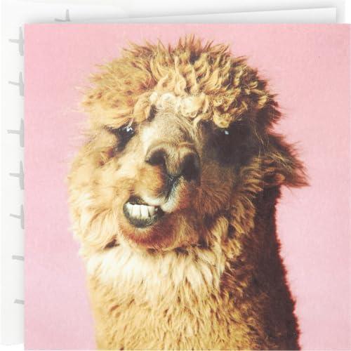 image:imageHallmark Studio Ink Birthday Card Alpaca