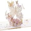 Butterfly Any Occasion