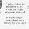 Hallmark Chinese New Year Card 2026 (Lunar New Year Card with Ornament) Watercolor Horse(2025 Year of the Snake)