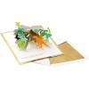 Hallmark Dinosaur Valentine’s Day Cards for Kids with Pop Up Mailbox for Classroom Exchange (1 Box, 32 Cards, 1 Teacher Card, 33 Envelopes,)(Dinosaur Birthday)