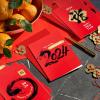 Hallmark Eight Bamboo 2024 Dated Chinese New Year Card Assortment (16 Year of the Dragon Cards with Envelopes)