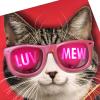 Hallmark Pink Sunglasses Cat Valentine’s Day Card with Light and Sound (Luv Mew) for Kids, Teens, Friends(Luv Mew Valentine’s Day)