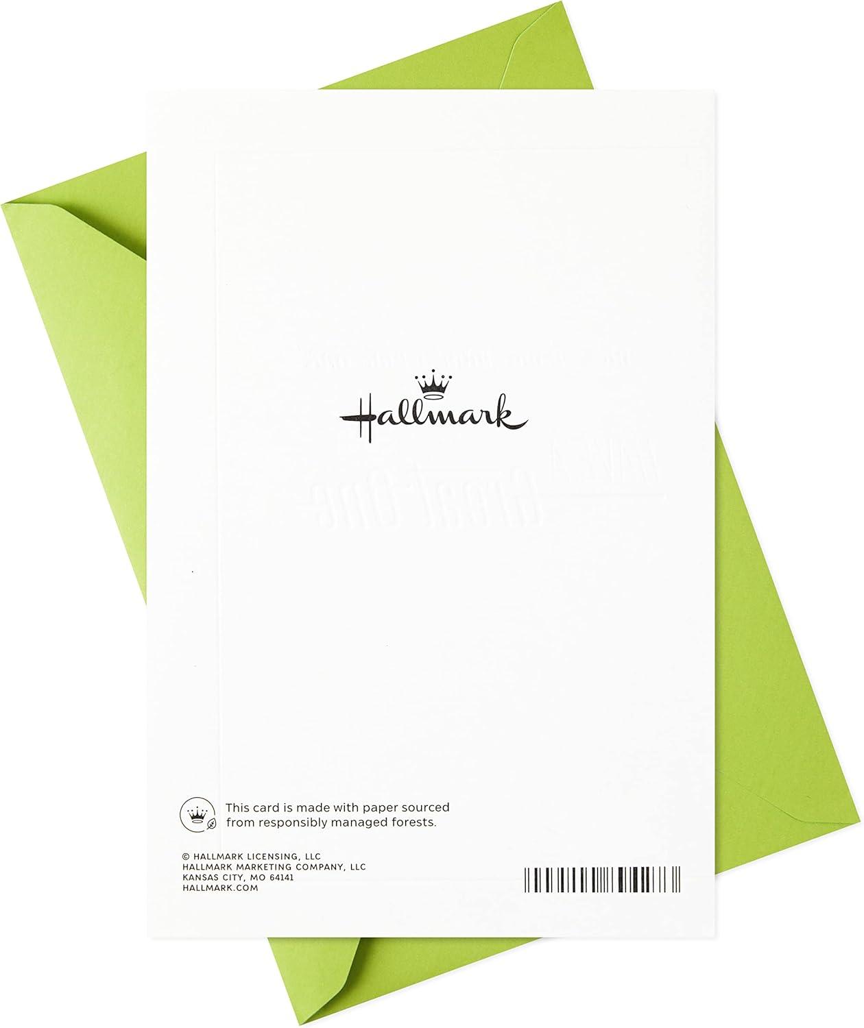image:imageHallmark Signature Peanuts Birthday Card Snoopy CanoeGreat Guy Good Friend