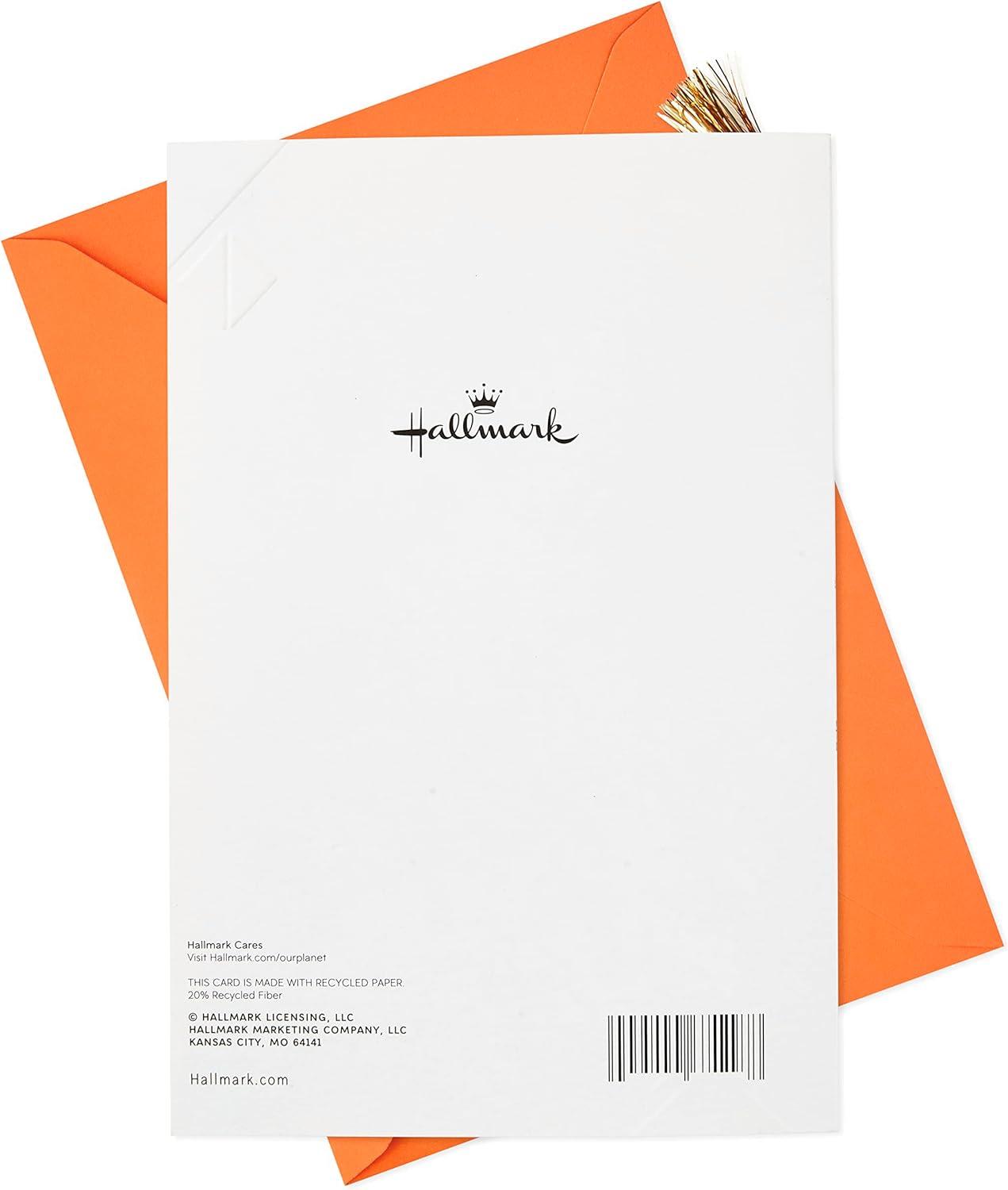 image:imageHallmark Signature Peanuts Birthday Card Snoopy CanoeLets Celebrate You