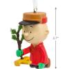 Hallmark Peanuts Charlie Brown Kneeling with Tree Christmas Ornament(Charlie Brown)