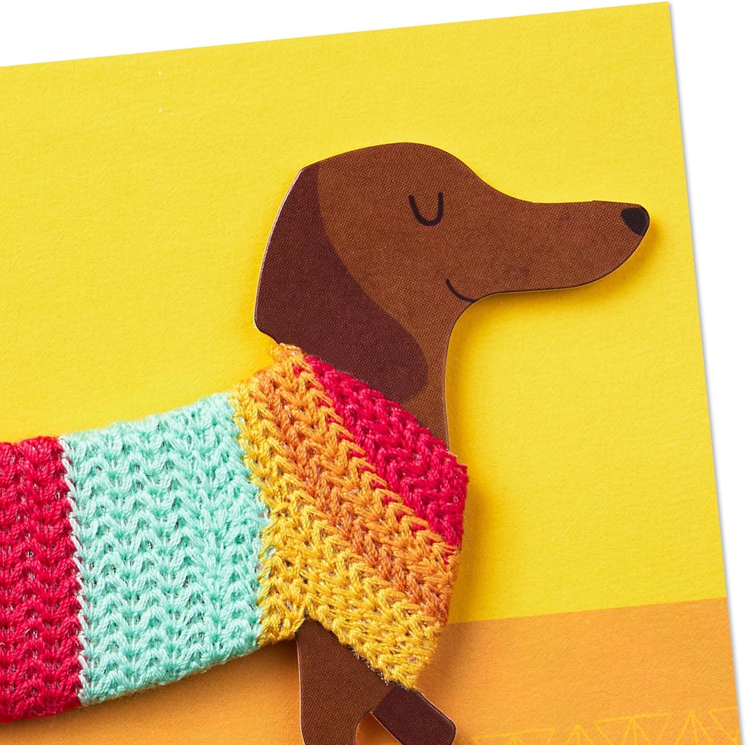 image:imageHallmark Signature Birthday Card Dachshund in Sweater Happy All Day Long for Dog Mom Dog DadDog in Sweater