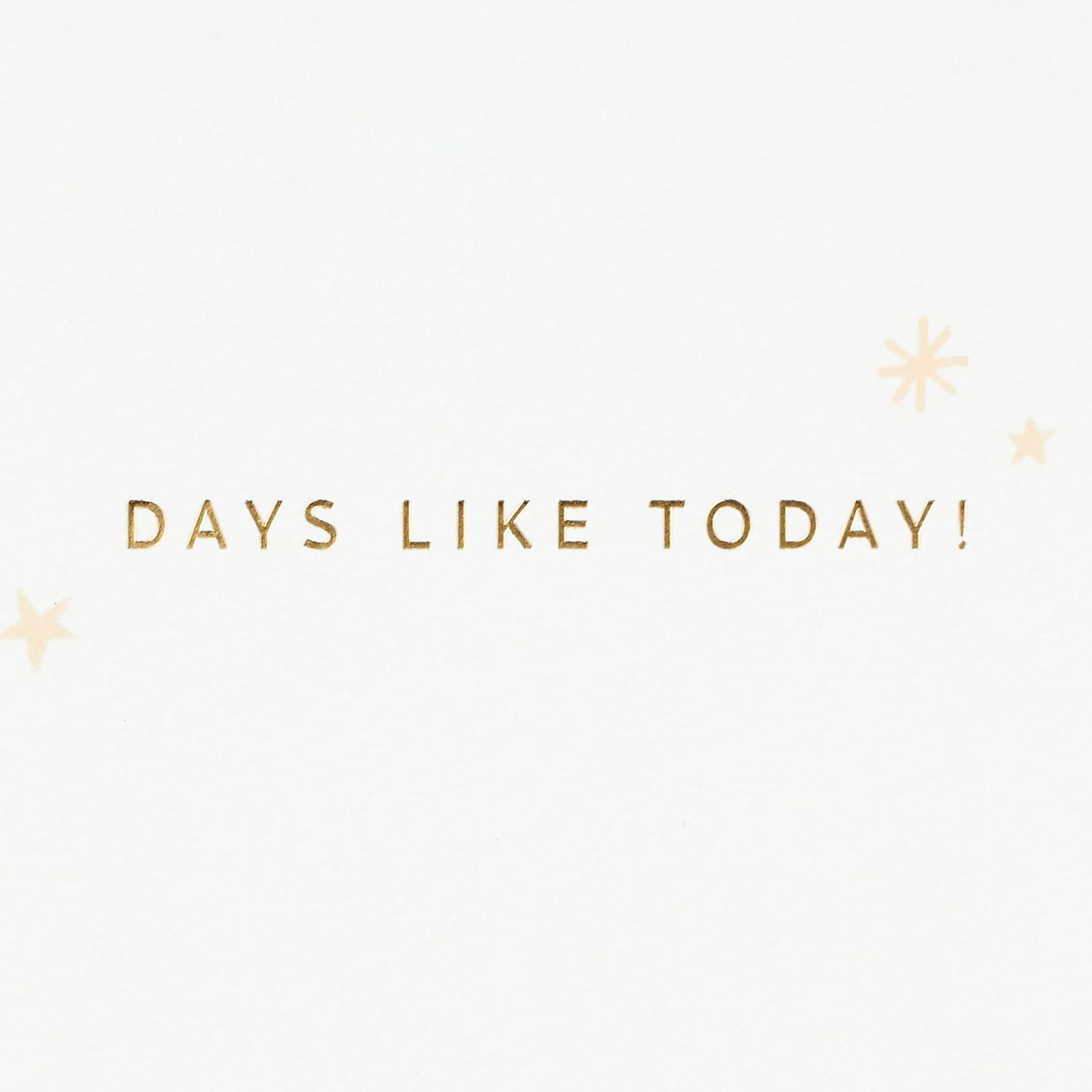 image:imageHallmark Signature Pack of 4 Birthday Cards or Congratulations Cards Some Days Call for a CelebrationMulticolor