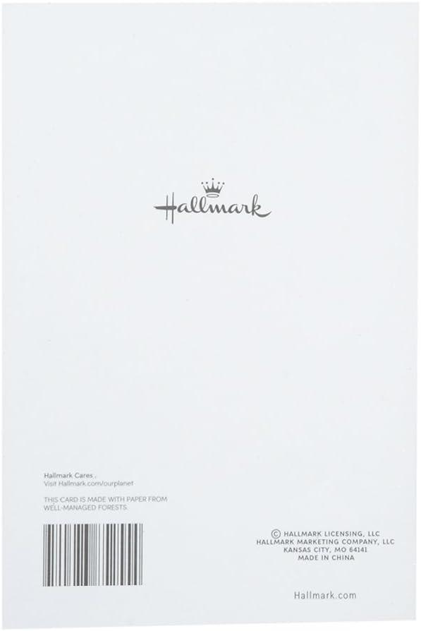 image:imageHallmark Valentines Day Card for Husband or Boyfriend Love Being in Love for Anniversary or Romantic BirthdayTwo Silver Hearts