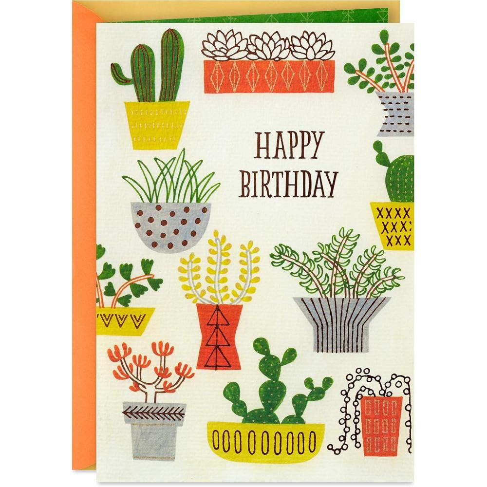 image:imageHallmark Birthday Card Envelope with ConfettiMulticolor