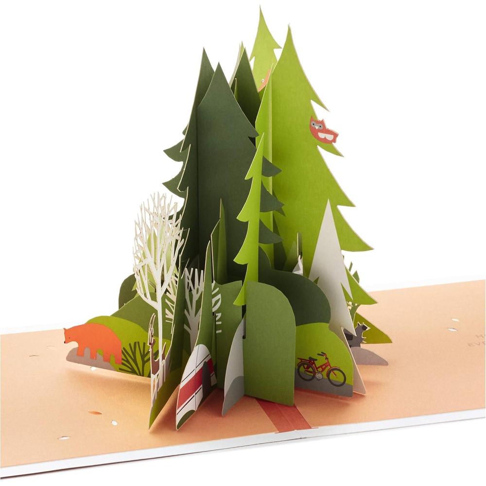 image:imageHallmark Signature Paper Wonder Pop Up Birthday Card SailboatPop Up Adventure Awaits