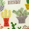 Hallmark Birthday Card (Envelope with Confetti)(Multicolor)