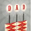 Hallmark Birthday Card for Dad (Cake and Candles)(Cake and Candles)