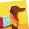 Hallmark Signature Birthday Card, Dachshund in Sweater (Happy All Day Long!) for Dog Mom, Dog Dad(Dog in Sweater)