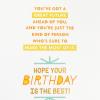 Hallmark Signature Birthday Card (Happy Happy Happy)(Something to Celebrate)