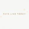 Hallmark Signature Pack of 4 Birthday Cards or Congratulations Cards (Some Days Call for a Celebration)(Multicolor)