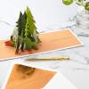 Hallmark Signature Paper Wonder Pop Up Birthday Card (Sailboat)(Pop Up  Adventure Awaits)