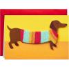 Dog in Sweater