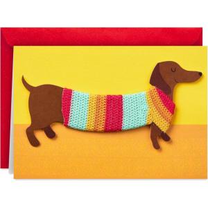 Hallmark Signature Birthday Card, Dachshund in Sweater (Happy All Day Long!) for Dog Mom, Dog Dad(Dog in Sweater)