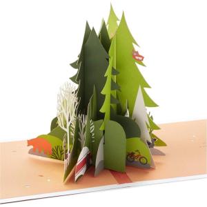 Hallmark Signature Paper Wonder Pop Up Birthday Card (Sailboat)(Pop Up  Adventure Awaits)