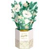 Hallmark Paper Wonder Thinking of You, All Occasion Pop Up Card (Peace Lily Bouquet)