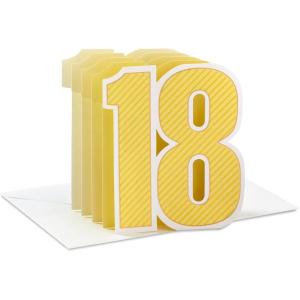 Hallmark Paper Wonder Pop Up 18th Birthday Card (Everything Amazing Ahead)