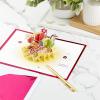 Hallmark Signature Paper Wonder Pop Up Card for Graduation or Birthday (Here’s to You, Tropical Drink)