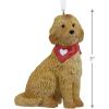 Hallmark Goldendoodle Christmas Ornament(Goldendoodle)