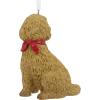 Hallmark Goldendoodle Christmas Ornament(Goldendoodle)