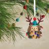 Hallmark Holiday Hedgehog Resin Christmas Ornament (0001HGO3077)(Hedgehog)
