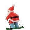 Hallmark Holiday Hedgehog Resin Christmas Ornament (0001HGO3077)(Santa)