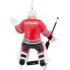 Hallmark NHL Colorado Avalanche Goalie Christmas Ornament, 0001OSL1747(Blackhawks)