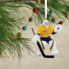 Hallmark NHL Colorado Avalanche Goalie Christmas Ornament, 0001OSL1747(Predators)