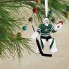 Hallmark NHL Colorado Avalanche Goalie Christmas Ornament, 0001OSL1747(Stars)