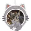 Cat Photo Holder