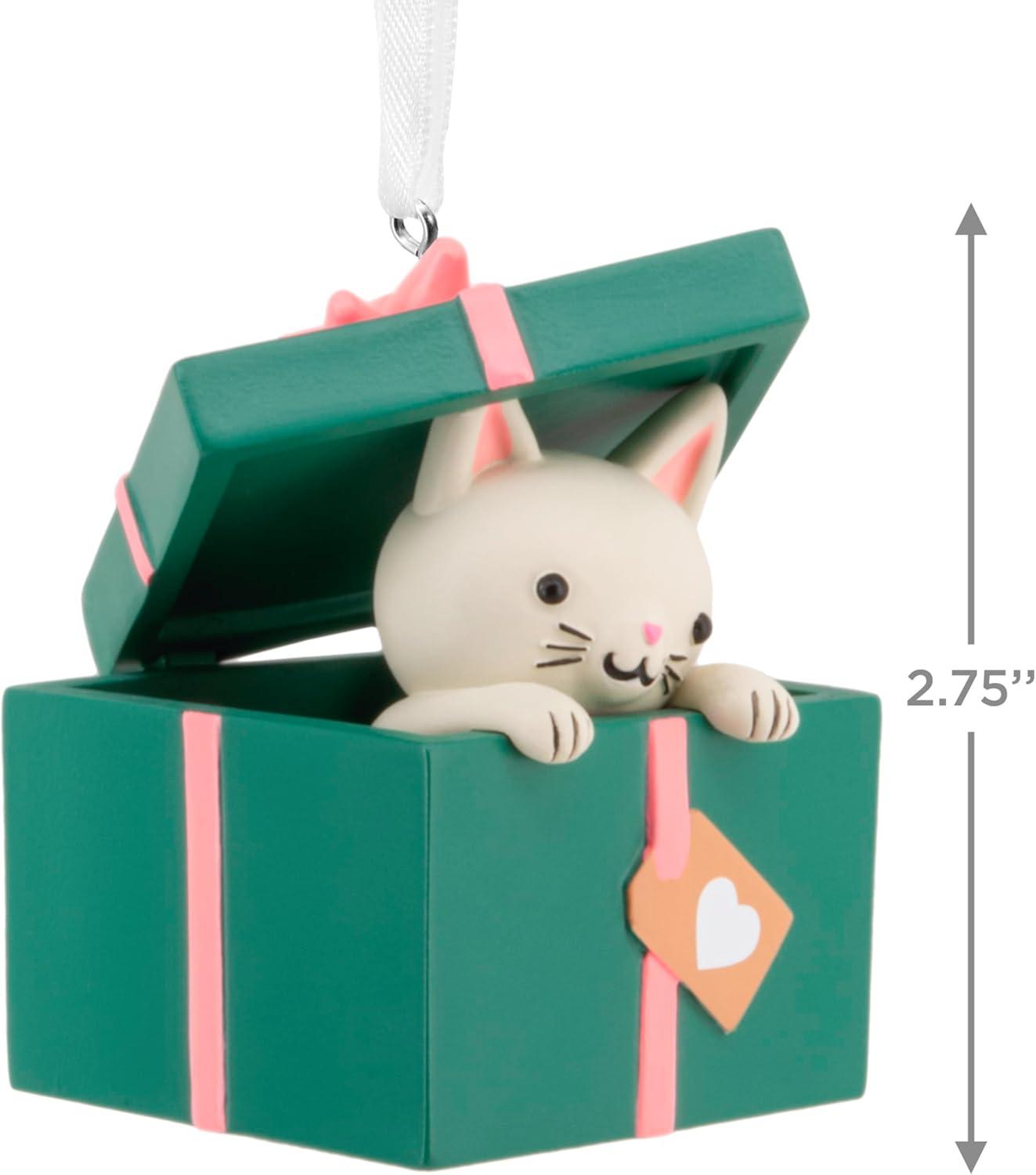 image:imageHallmark Kitten in Present Christmas Ornament Gifts for Animal Lovers
