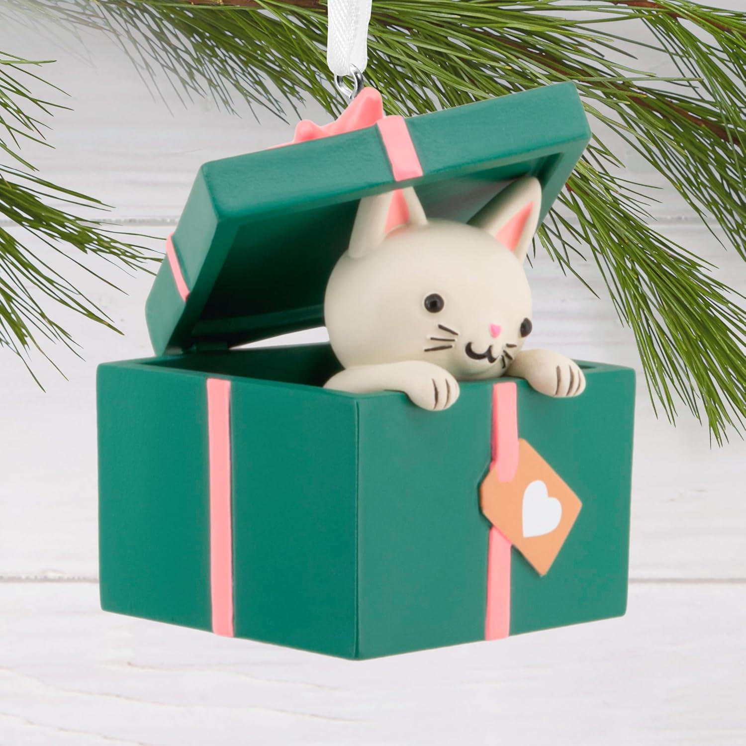 image:imageHallmark Kitten in Present Christmas Ornament Gifts for Animal Lovers