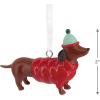 Hallmark Cool Dachshund Christmas Ornament, Pet Gifts
