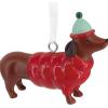 Hallmark Cool Dachshund Christmas Ornament, Pet Gifts