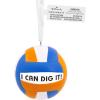 Hallmark I Can Dig It! Volleyball Christmas Ornament