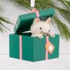 Hallmark Kitten in Present Christmas Ornament, Gifts for Animal Lovers