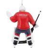 Hallmark NHL New York Rangers Goalie Christmas Ornament(Capitals)